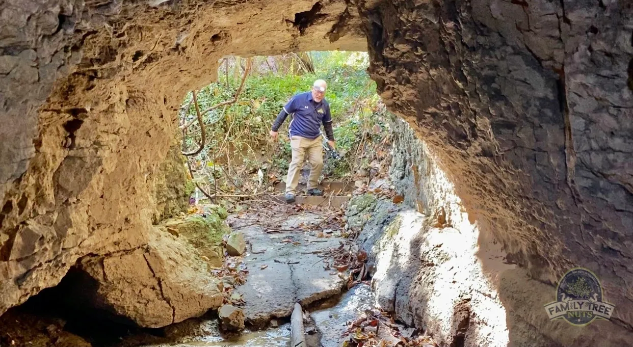 The hidden entrance to Demonbreun Cave